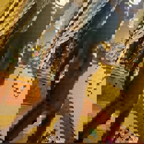 MariaGanzNeuFrKrzeZeit