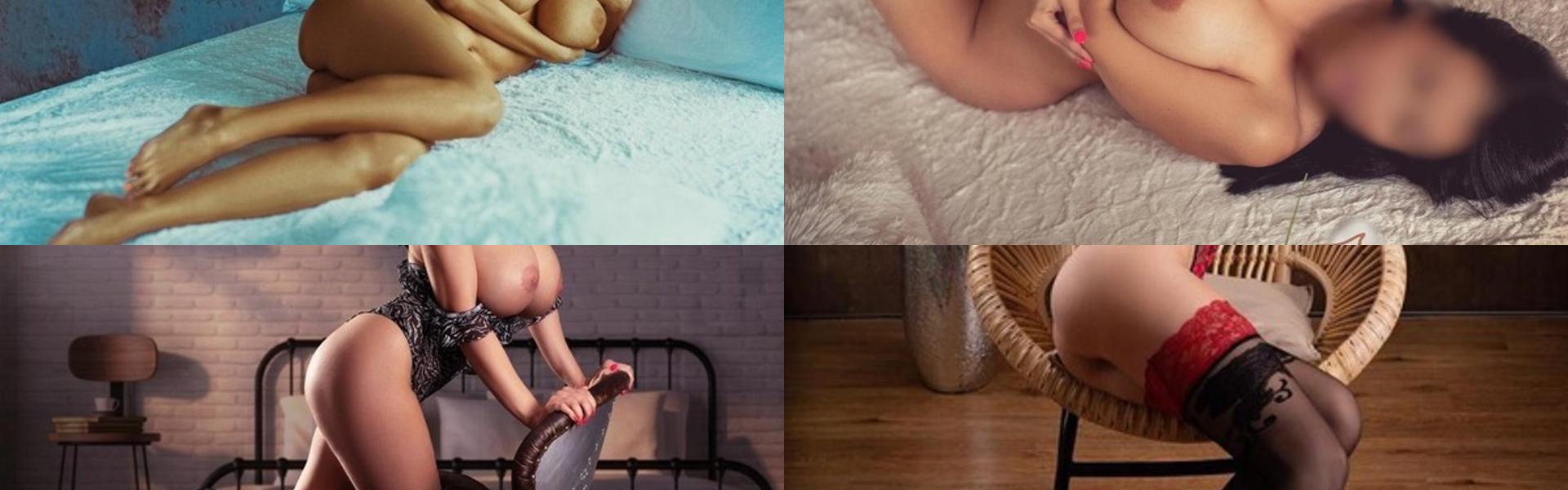 프로필 헤더 이미지