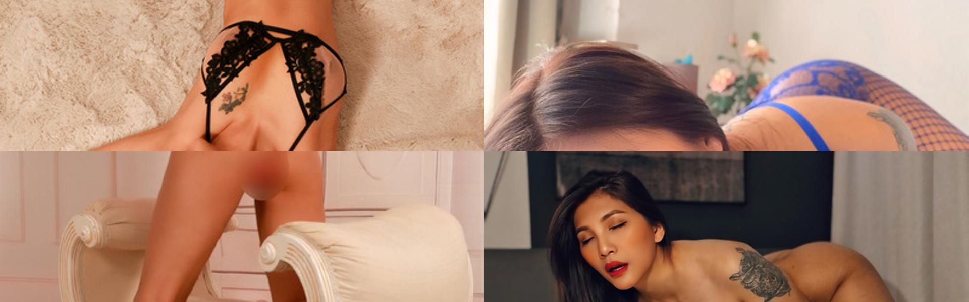 Zaglavna slika profila