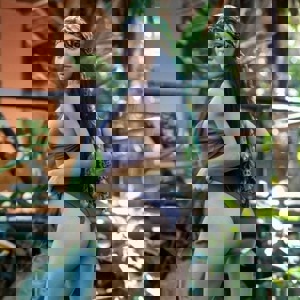 Imagem do perfil