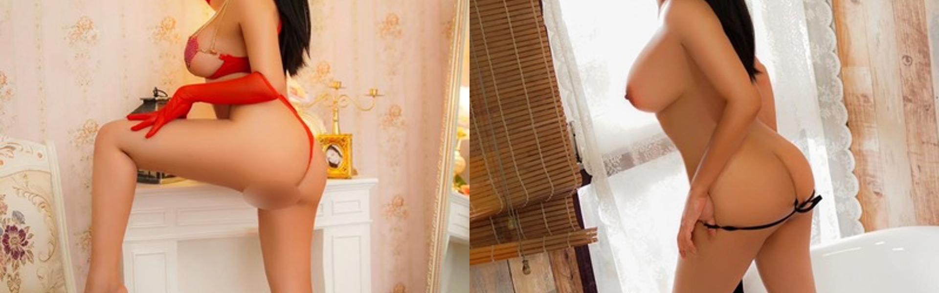 תמונת כותרת הפרופיל