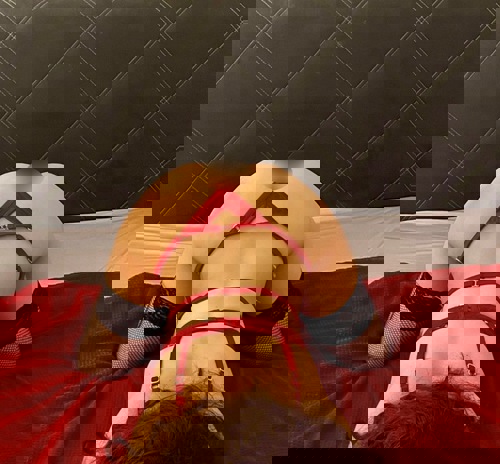 AdrianaNeuindeinerStadt - +4915213913275, +491521-3913275, 01521-3913275