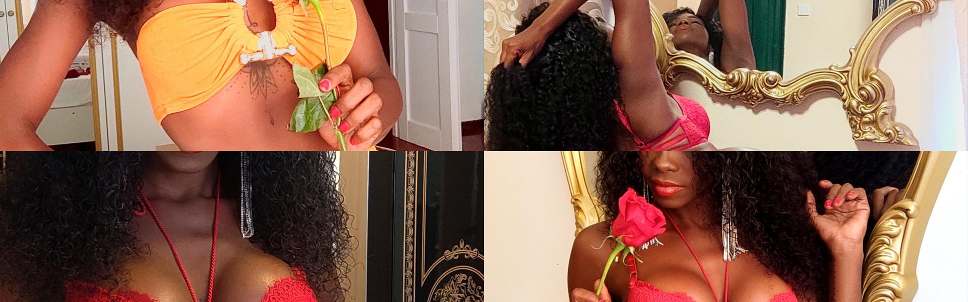 ภาพส่วนหัวโปรไฟล์