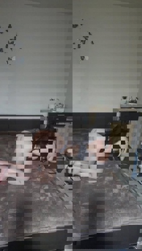 Sofia1625 - +491625369699, +49162-5369699, 0162-5369699