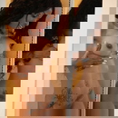 Зображення профілю