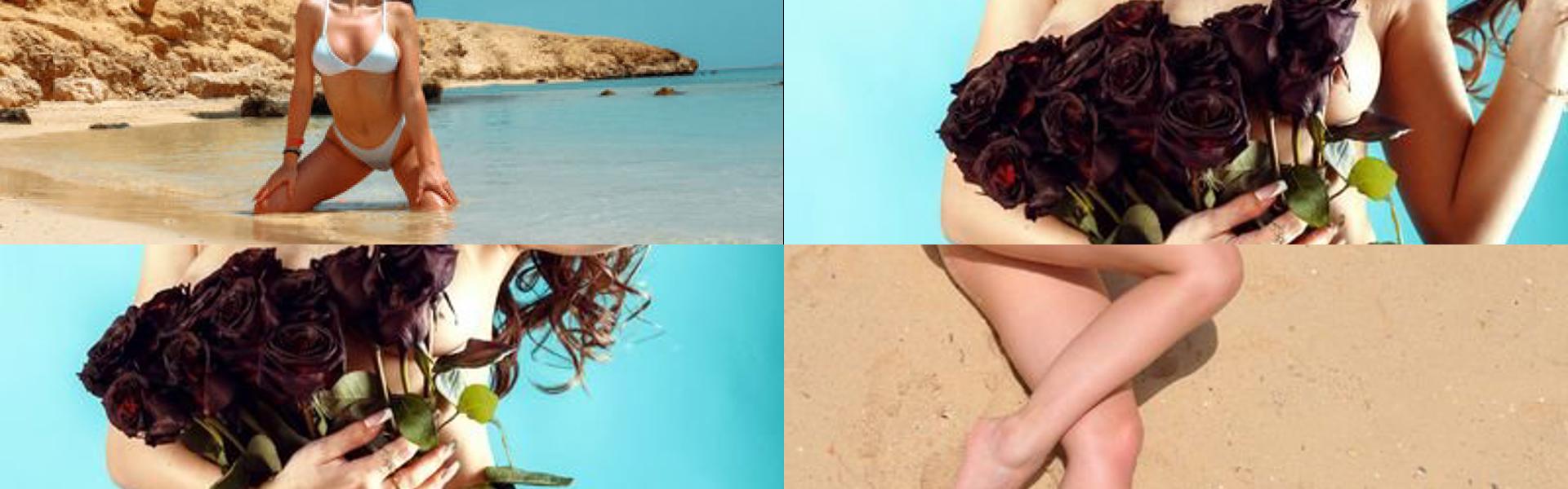 프로필 헤더 이미지