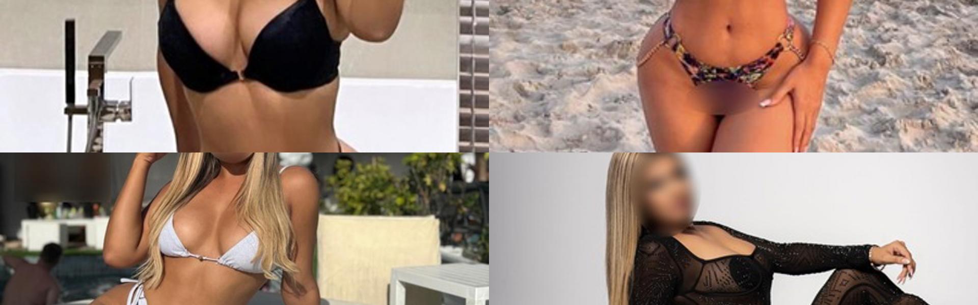 프로필 헤더 이미지