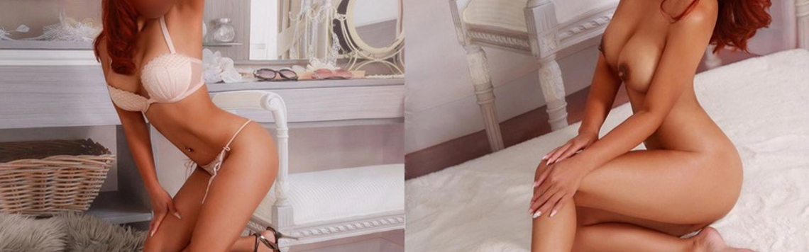 תמונת כותרת הפרופיל