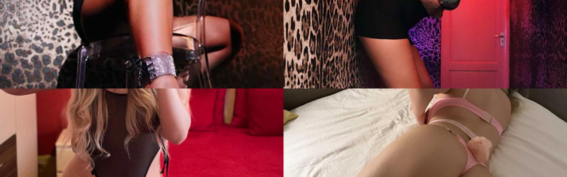 ภาพส่วนหัวโปรไฟล์