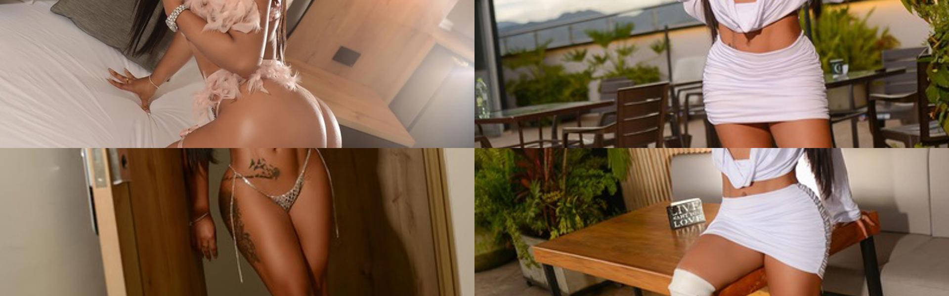 프로필 헤더 이미지