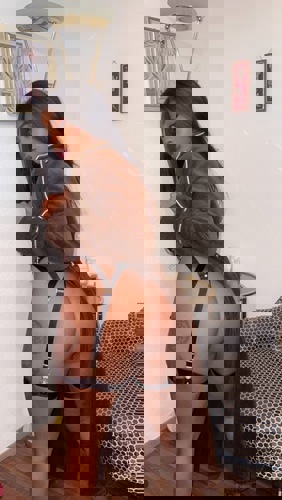 Kim1515124 - +4915124367040, +491512-4367040, 01512-4367040