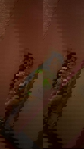 Lulu11766 - +4917668157079, +49176-68157079, 0176-68157079