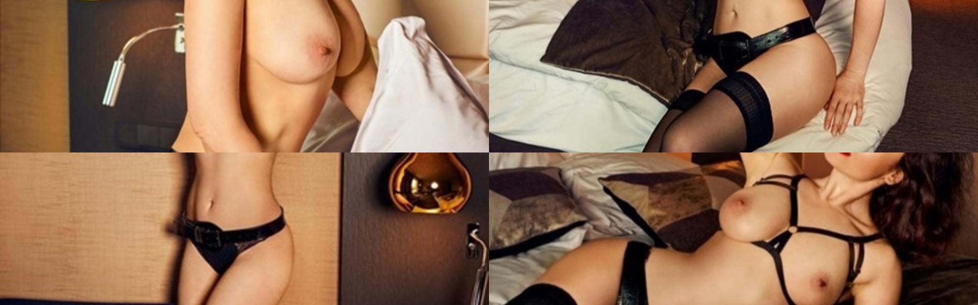 Zaglavna slika profila