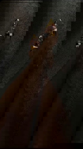 Ayleen1 - +491634723522, +49163-4723522, 0163-4723522