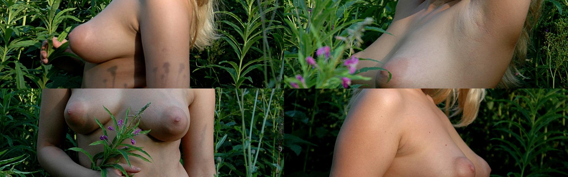 ภาพส่วนหัวโปรไฟล์