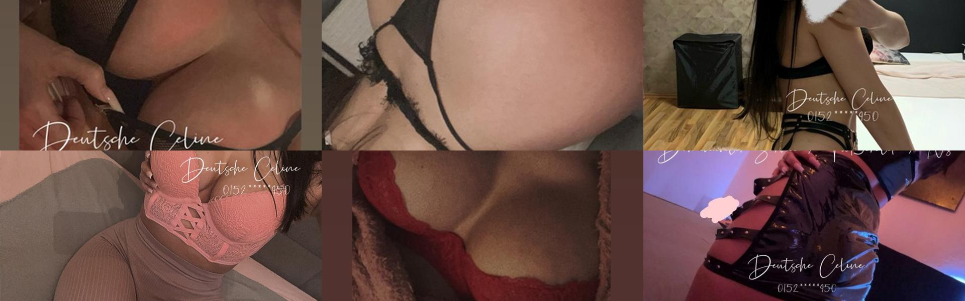 프로필 헤더 이미지