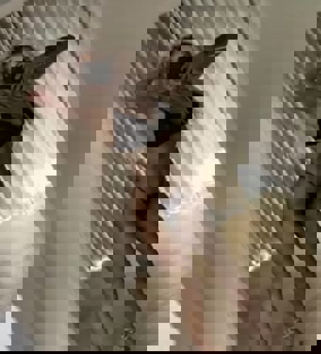 LULUnurWhatsApp157 - +4915759734825, +491575-9734825, 01575-9734825