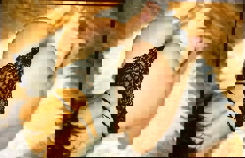 Scarlett15214 - +4915214235424, +491521-4235424, 01521-4235424