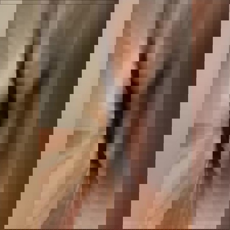 SophieneueNummer - +491636257980, +49163-6257980, 0163-6257980