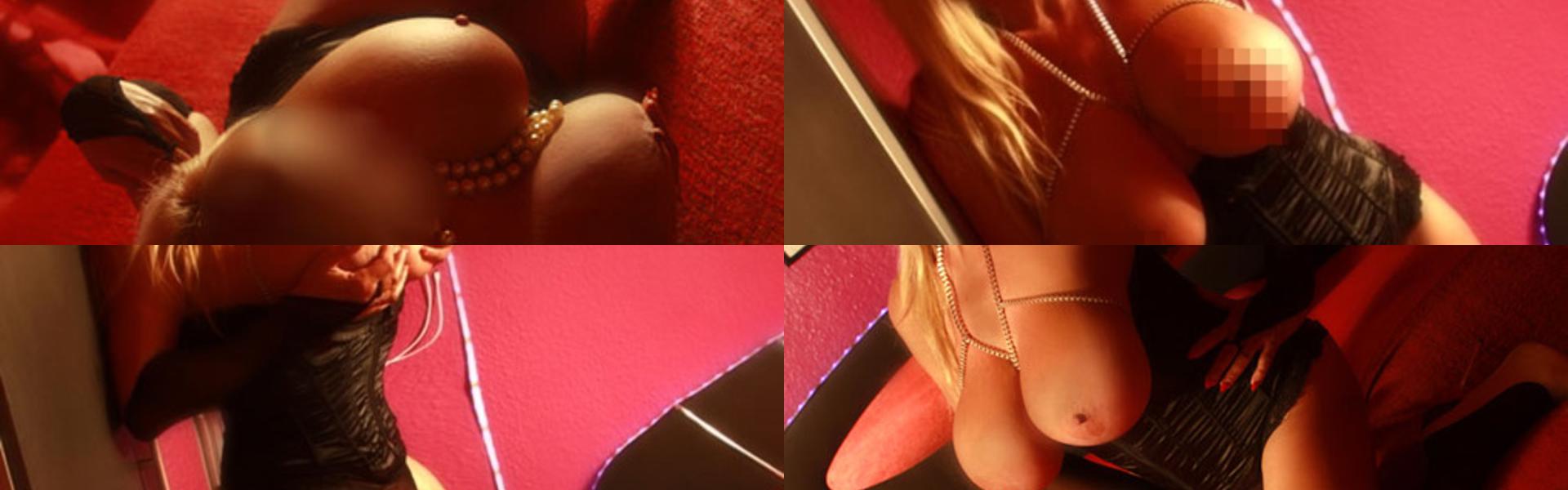 Imagen de encabezado del perfil