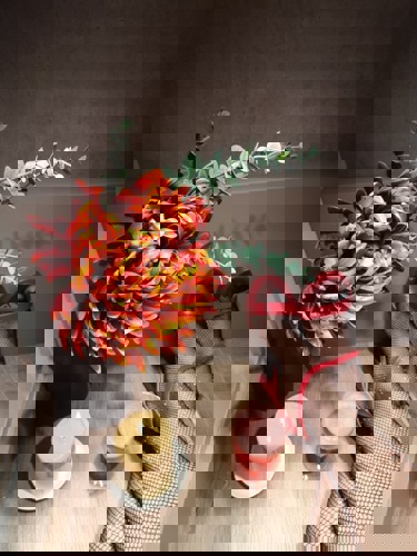 Extrella - +4917669324327, +49176-69324327, 0176-69324327