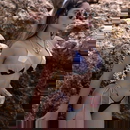 תמונת הפרופיל