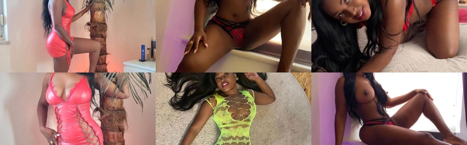 Zaglavna slika profila