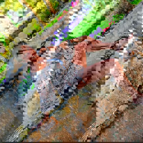 Olga116 - +491626525211, +49162-6525211, 0162-6525211