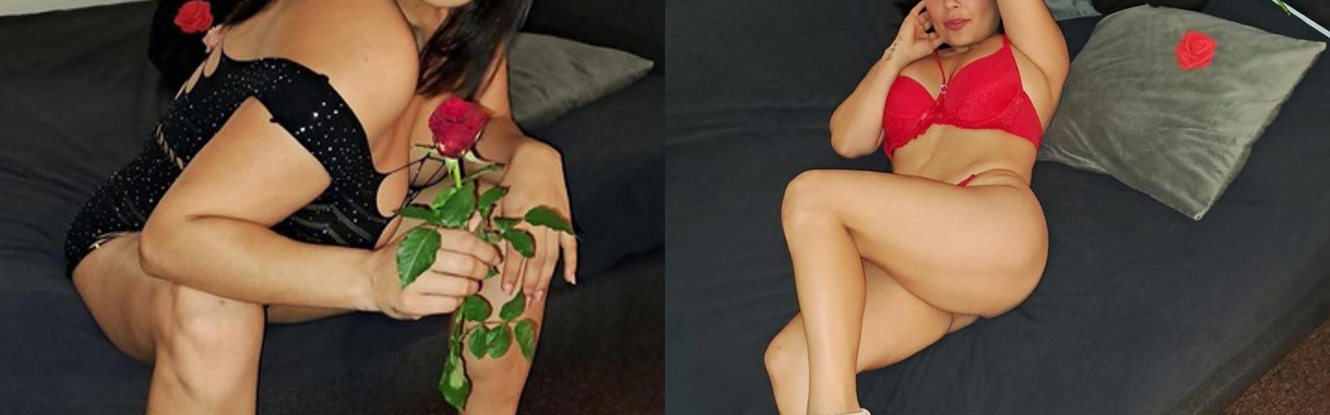 ภาพส่วนหัวโปรไฟล์