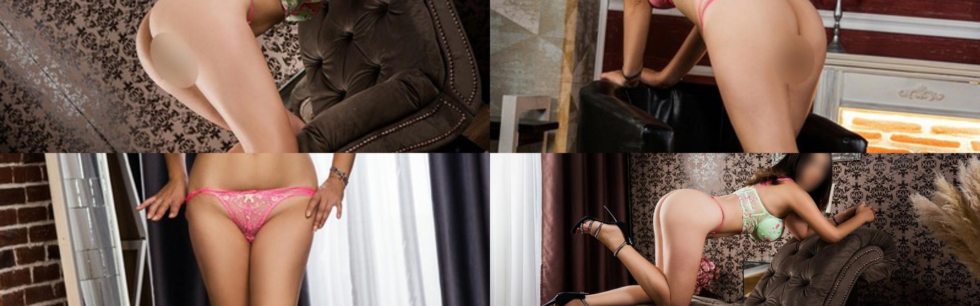 프로필 헤더 이미지