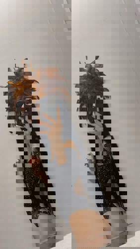 Noeli - +4934604228294, +4934604-228294, 034604-228294