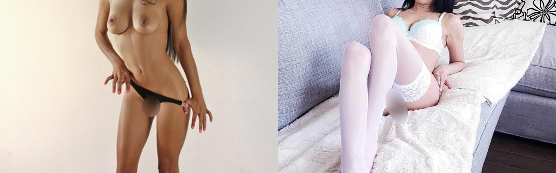 Immagine intestazione profilo