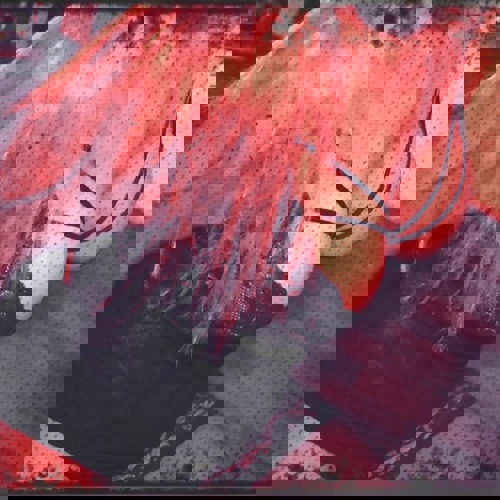 Bellaprivat - +491625630638, +49162-5630638, 0162-5630638