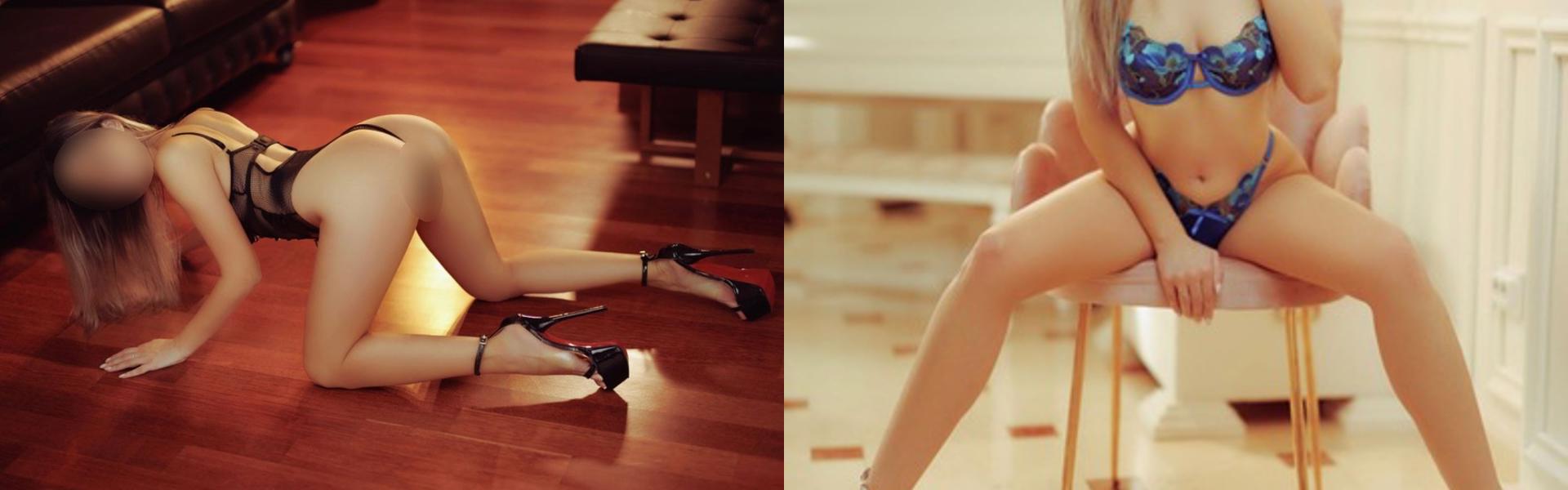 Profilio antraštės nuotrauka