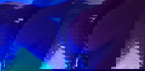 Alice152137 - +4915213732488, +491521-3732488, 01521-3732488