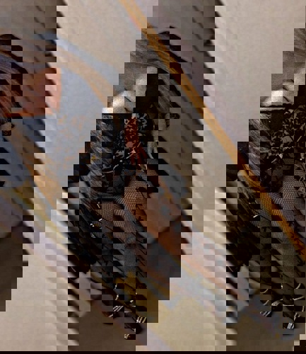 Anays163 - +491639308776, +49163-9308776, 0163-9308776