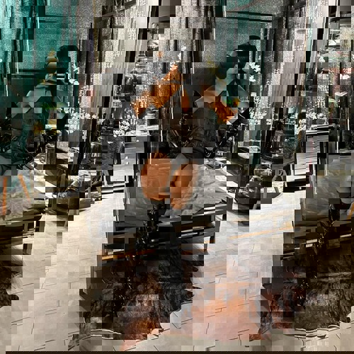 LatinaLexy - +4916096268502, +49160-96268502, 0160-96268502