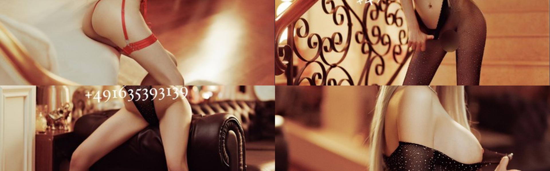 Ảnh tiêu đề hồ sơ