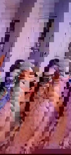 Amyzum1MalindeinerStadt34 - +4934631327672, +4934631-327672, 034631-327672