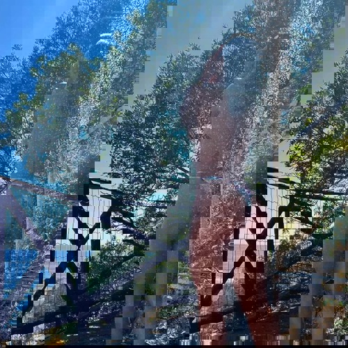 Sara33462 - +4934623488352, +493462-3488352, 03462-3488352