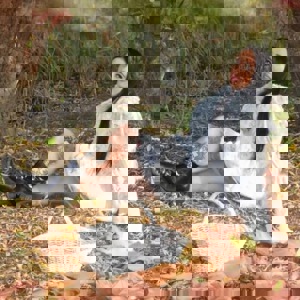 Profilbild