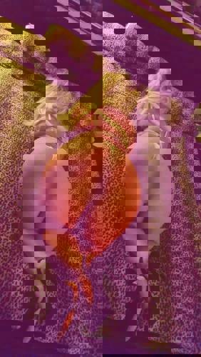 NellyAVKnigin1 - +4915750231010, +491575-0231010, 01575-0231010