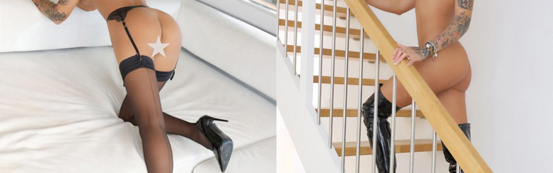 Gambar Header Profil