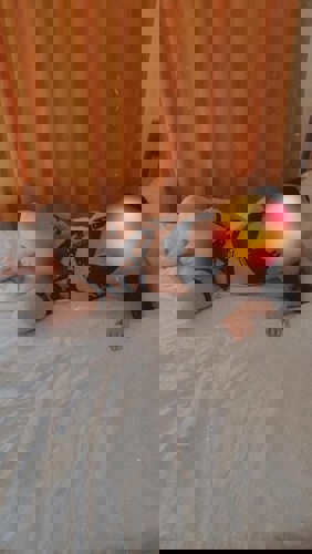 Alexis152 - +4915215032032, +491521-5032032, 01521-5032032