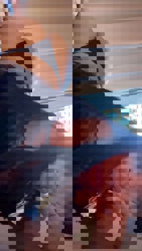 DeutscheJaydaNEUENUMMER - +4915114915101, +491511-4915101, 01511-4915101