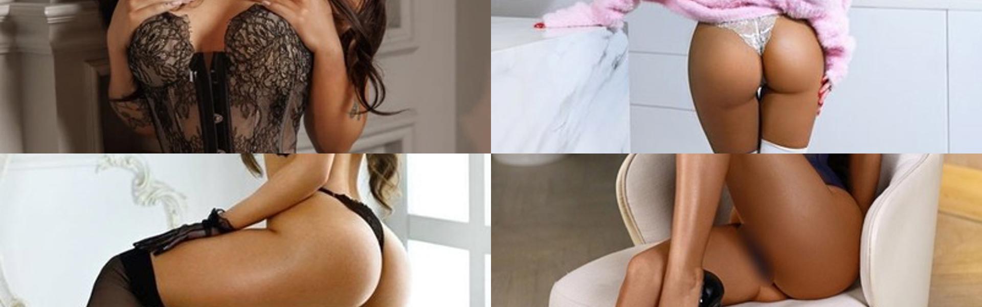 프로필 헤더 이미지