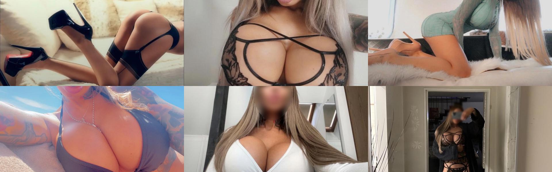 ภาพส่วนหัวโปรไฟล์