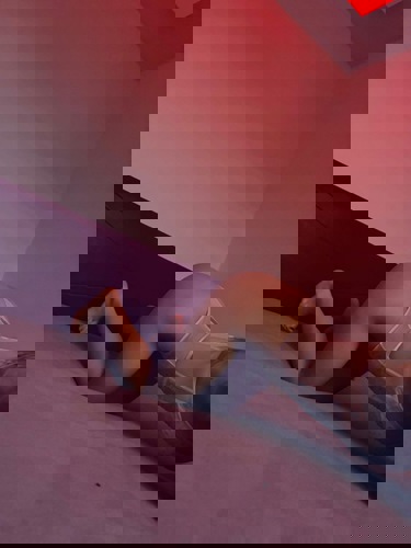 Luiza15733 - +4915733372398, +491573-3372398, 01573-3372398