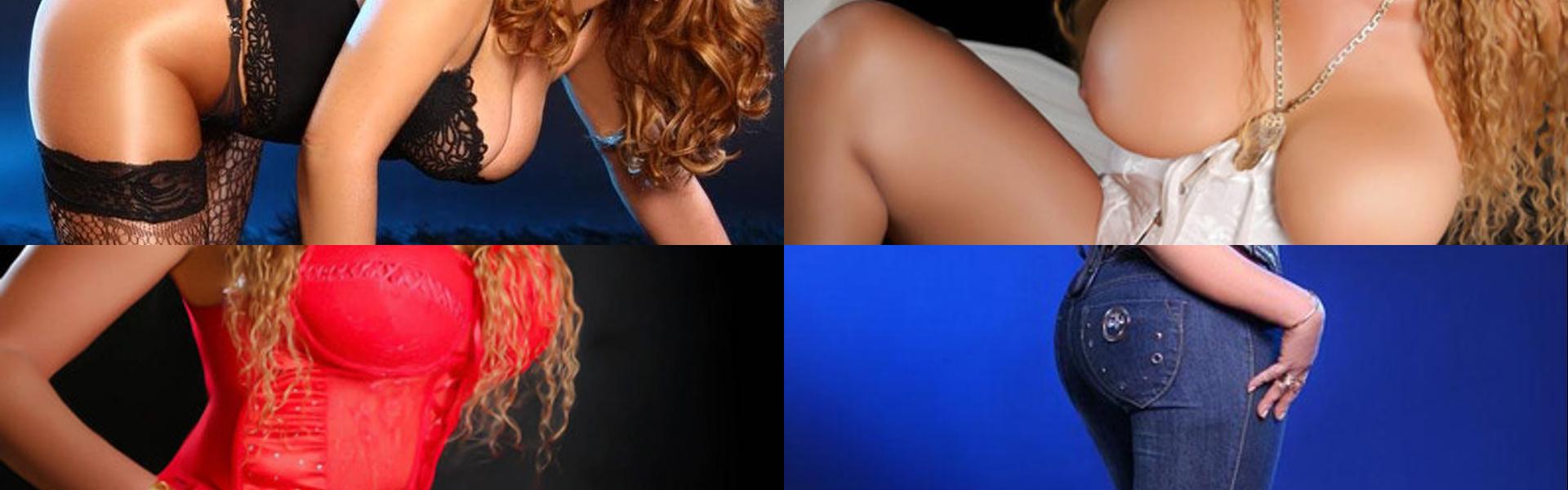 תמונת כותרת הפרופיל