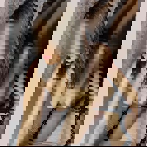 Alina1766 - +4917665313271, +49176-65313271, 0176-65313271